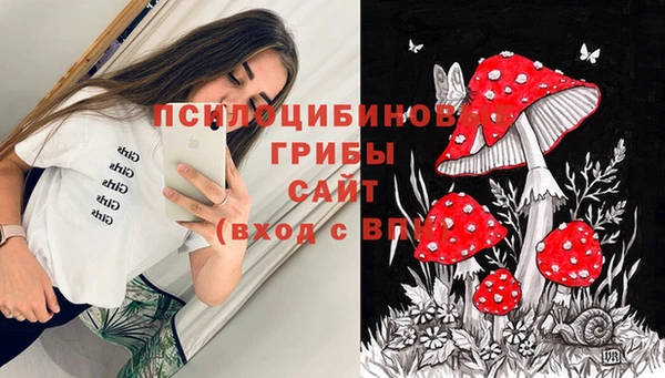 спайс Няндома