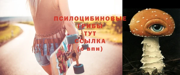 спайс Няндома