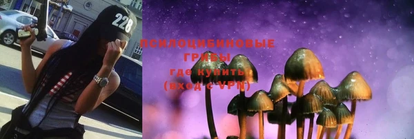 ПСИЛОЦИБИНОВЫЕ ГРИБЫ Нязепетровск