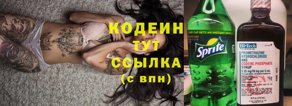спайс Няндома