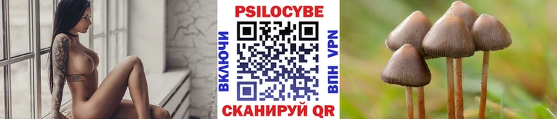 Галлюциногенные грибы GOLDEN TEACHER  Александровск-Сахалинский 