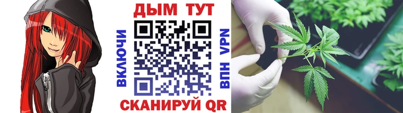 Конопля Bruce Banner  цены   Александровск-Сахалинский 
